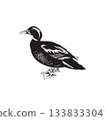 black and white Duck Illustration Monochrome 133833304
