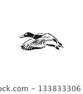black and white Duck Illustration Monochrome 133833306