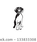 vector Monochrome Pointing Dog Illustration 133833308