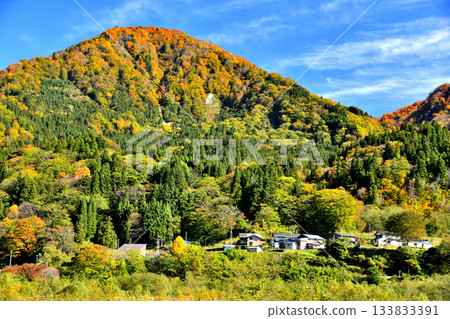 Around Kitakotari Rihei, Otari Village, Nagano Prefecture (Otari Village, Nagano Prefecture) [November 2025] 133833391