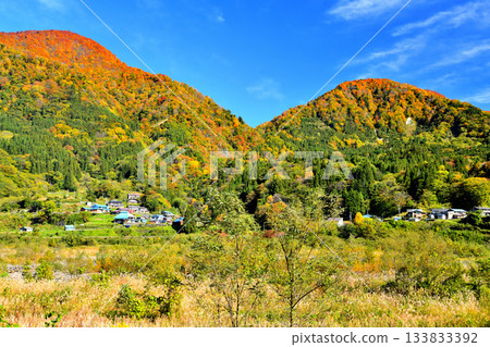 Around Kitakotari Rihei, Otari Village, Nagano Prefecture (Otari Village, Nagano Prefecture) [November 2025] 133833392