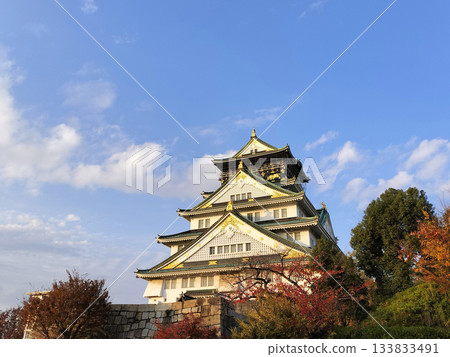 秋天和大阪城 133833491