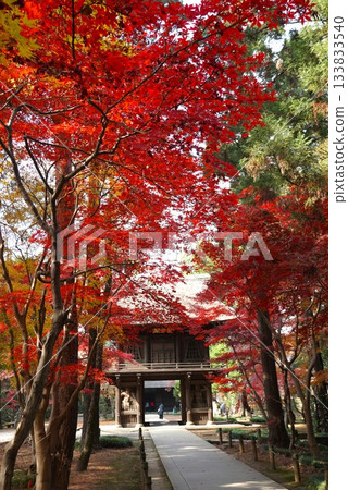 Autumn leaves in the grounds of Heirinji Temple 133833540