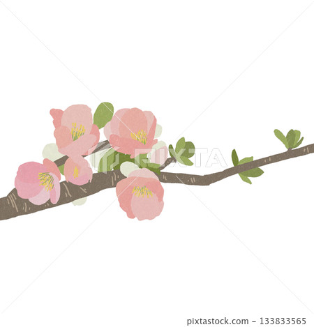 Blurred flowers 133833565