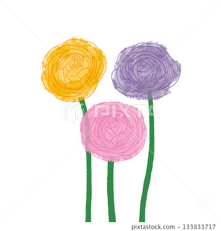 Ranunculus 133833717