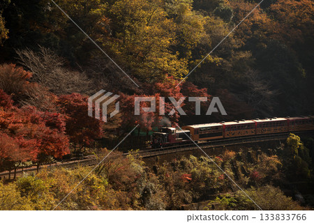 Walking through Hozukyo Gorge in autumn leaves Walking through Hozukyo Gorge in autumn leaves 133833766