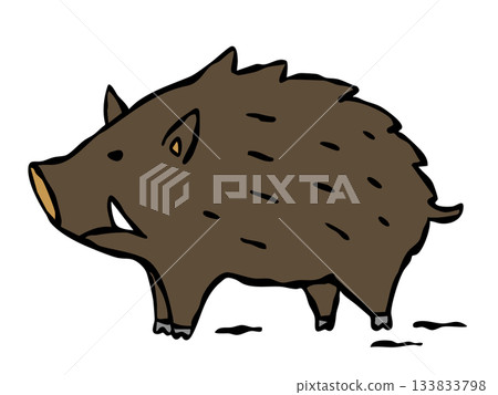 野豬 133833798