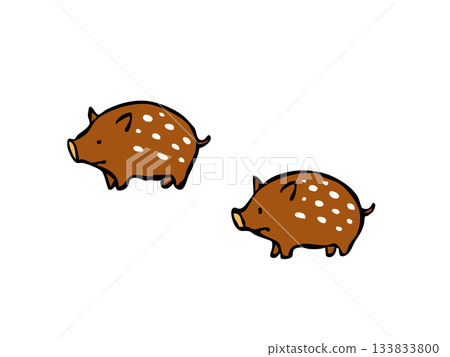 Cute baby boar 133833800