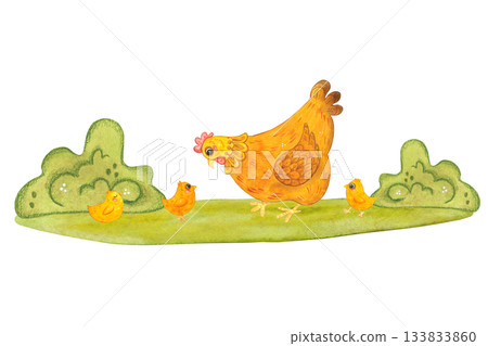 A hen walks her chicks on a green lawn. Hand-drawn watercolor illustration, cartoon. Farm, animals, bird, village, poultry farm, holiday, children, Easter, eggs, bird, beak, agriculture, family, hen A hen walks her chicks on a green lawn. Hand-drawn watercolor illustration, cartoon. Farm, animals, bird, village, poultry farm, holiday, children, Easter, eggs, bird, beak, agriculture, family, hen 133833860