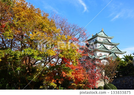 名古屋城和秋葉的絢麗秋景，以及絢麗多彩的秋葉。 133833875