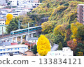 Negishi Line train running through autumn leaves 133834121