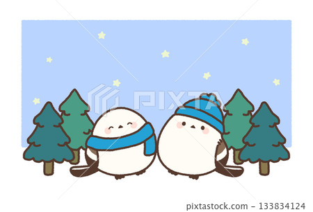 冬季插圖：長尾山雀與針葉林（星空） 133834124