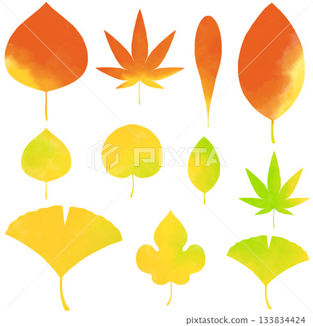 色彩繽紛的落葉插圖,以水彩風格繪製。 色彩繽紛的落葉插圖,以水彩風格繪製。 133834424
