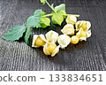 Physalis on black board 133834651