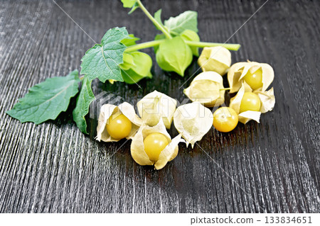 Physalis on black board Physalis on black board 133834651