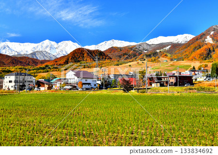 栂池高原滑雪場，俯瞰白馬三山（長野縣小谷村）[2025年11月] 133834692