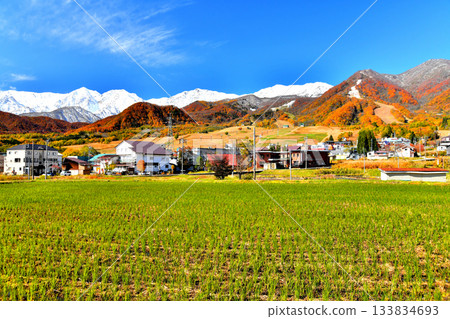 Tsugaike Kogen Ski Resort, overlooking the Hakuba Sanzan mountains (Otari Village, Nagano Prefecture) [November 2025] 133834693