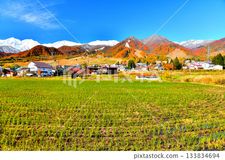 Tsugaike Kogen Ski Resort, overlooking the Hakuba Sanzan mountains (Otari Village, Nagano Prefecture) [November 2025] 133834694