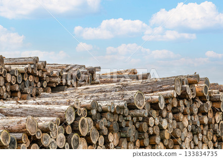 堆疊的木材（圖） 133834735