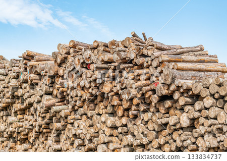 堆疊的木材（圖） 133834737