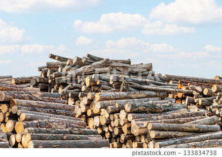 Stacked wood (image) 133834738