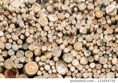 Stacked wood (image) 133834739