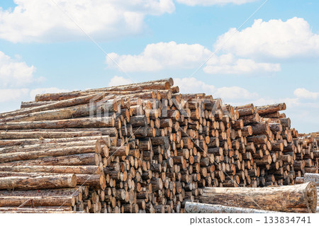 Stacked wood (image) 133834741