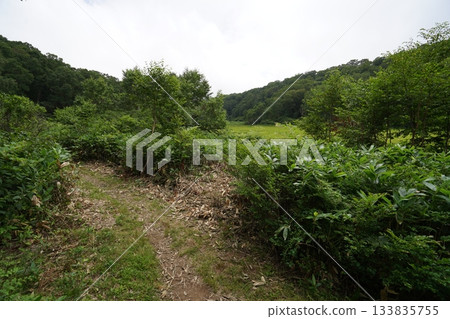 長野縣茅野平市北渡部濕地，從棧道上看到的濕地南側（朝向入口方向），2025年8月6日 133835755