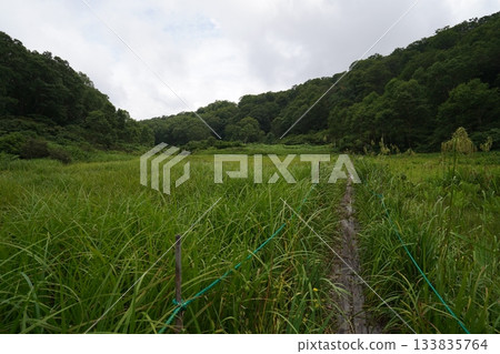 長野縣茅野平市北渡部濕地，從棧道上看到的濕地南側（朝向入口方向），2025年8月6日 133835764