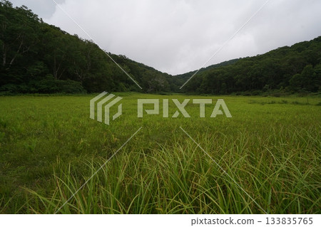 Kayanodaira, Nagano Prefecture, Kitadobu Marshland, View of the south side of the marshland (towards the entrance) from the boardwalk, August 6, 2025 133835765