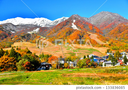 栂池高原滑雪場景色（長野縣小谷村）[2025年11月] 133836085