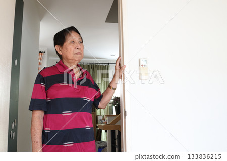 Senior Lifestyle 133836215