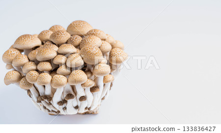 新鮮的白玉菇擺放在白色背景上 133836427