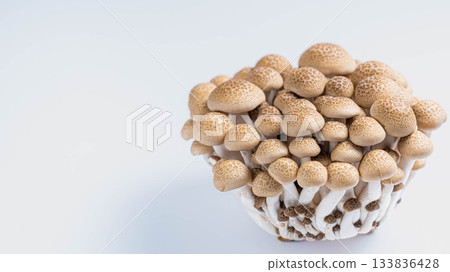 Fresh Bunashimeji mushrooms placed on a white background 133836428
