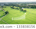 Land value in aerial view and concept of market price. 133838156