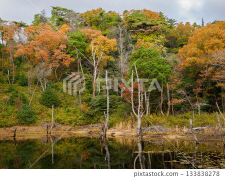 Rokko's Yokoike and Meike ponds, where the trees change color Rokko's Yokoike and Meike ponds, where the trees change color 133838278