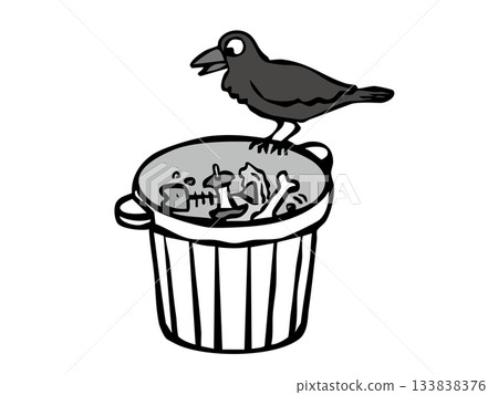 烏鴉在食物垃圾中翻找食物,垃圾控制,烏鴉,居民區 烏鴉在食物垃圾中翻找食物,垃圾控制,烏鴉,居民區 133838376