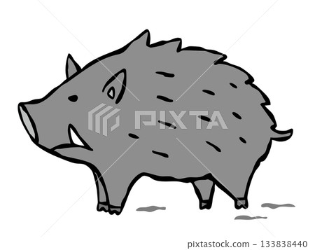 Wild boar 133838440