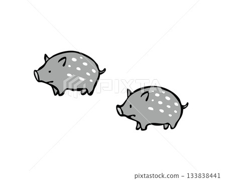 Cute baby boar Cute baby boar 133838441
