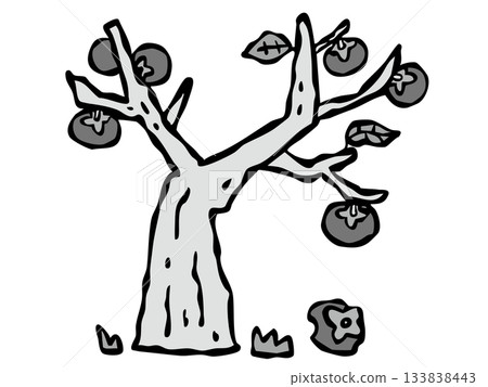 私人住宅裡一棵無人照顧的柿子樹。花園樹。柿子。 133838443