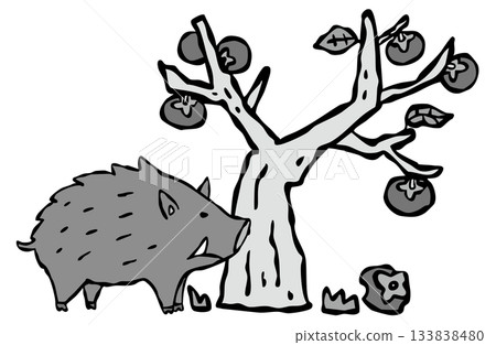 A wild boar enters a private garden Persimmon tree 133838480