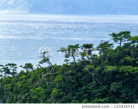 從式根島美麗的海岸線上看到的景色 133838541