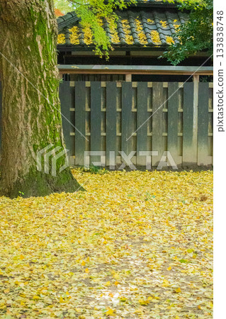 岡山縣(11月)【紅葉】公園被秋葉染成紅色。賞紅葉的好去處。 岡山縣(11月)【紅葉】公園被秋葉染成紅色。賞紅葉的好去處。 133838748
