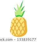 Vector pineapple tropical icon diet fruit isolated 133839177