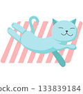Cat on beach vector, cute summer animal icon 133839184