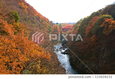 Autumn leaves and Takatsudo Bridge seen from Hanetaki Bridge Autumn leaves and Takatsudo Bridge seen from Hanetaki Bridge 133839232
