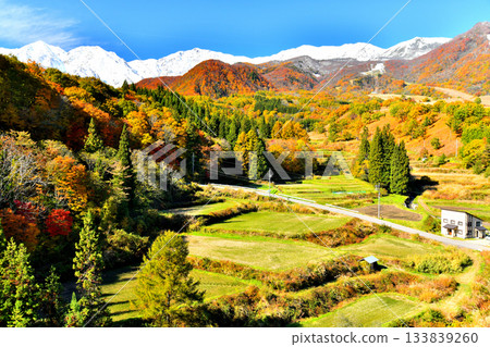 Tsugaike Panorama Bridge / View of the Hakuba Sanzan mountains from Matsuzawa (Otari Village, Nagano Prefecture) [November 2025] 133839260