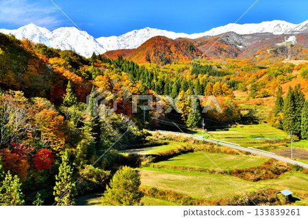 梔池全景橋/從松澤眺望白馬三山（長野縣小谷村）[2025 年 11 月] 133839261