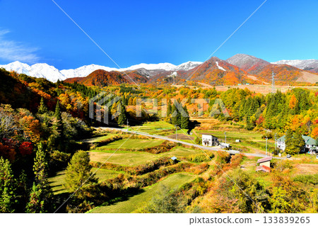 Tsugaike Panorama Bridge / View of the Hakuba Sanzan mountains from Matsuzawa (Otari Village, Nagano Prefecture) [November 2025] 133839265