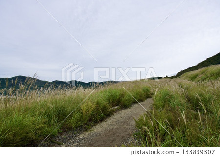仙石原鈴木草地(陰天) 仙石原鈴木草地(陰天) 133839307